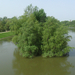 tisza