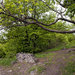 110514 5D OKT Kisinóc-Nógrád panorama1