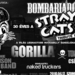 bomba straycats border