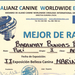 Diploma1 de Bogar