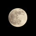 2013.04.25. Részleges Holdfogyatkozás