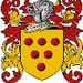 medici coat of arms