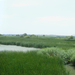 Tisza-tó panoráma