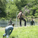 a look behindthescenes of the walking dead 640 05