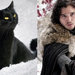 Game-Of-Thrones-Characters-as-Cats-12
