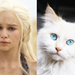the-game-of-thrones-cast-as-cats03