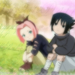 590264sasusaku231[1]