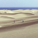 Gran Canaria – Maspalomas homokdűnéi