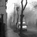 Ködbevesző utca