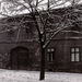 Ógabona tér 38. ház 1964-1965 táján