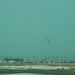 Repülõtér - Doha - 42