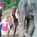 Indiai elefánt - 2