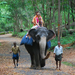 Indiai elefánt - 41