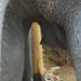 Indiai elefánt - 59