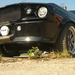 Shelby GT500 Eleonor