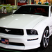 Tuning Show - Ford Mustang Convertible