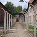 Auschwitz-Birkenau (23)