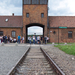 Auschwitz-Birkenau (33)