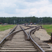 Auschwitz-Birkenau (35)