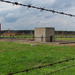 Auschwitz-Birkenau (44)