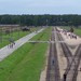 Auschwitz-Birkenau (52)