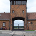 Auschwitz-Birkenau (58)