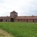 Auschwitz-Birkenau (60)