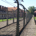 Auschwitz-Birkenau (66)