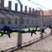 Auschwitz-Birkenau (68)