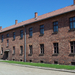 Auschwitz-Birkenau (81)