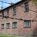 Auschwitz-Birkenau (86)