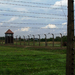 Auschwitz-Birkenau (93)