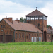 Auschwitz-Birkenau (94)