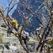 DSC 9885 Machu Picchu