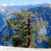 usa08 1031 On Top Of El Capitan, Yosemite NP, CA