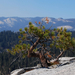 US12 0925 031 Yosemite NP, CA