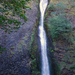 US13 0919 007 Horsetail Falls, Columbia River Gorge, OR