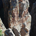 US14 0916 074 North Rim, Black Canyon Of The Gunnison NP, CO