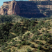 US14 0918 008 Monument Canyon Trail, Colorado NM, CO