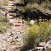 US14 0918 040 Monument Canyon Trail, Colorado NM, CO