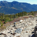 US14 0926 003 Chasm Lake Trail, Rocky Mtn NP, CO