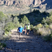 US15 0916 04 Chisos Basin, Big Band NP, TX