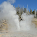 US160925 046 Yellowstone NP, WY