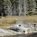 US160925 062 Yellowstone NP, WY