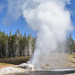 US160925 070 Yellowstone NP, WY