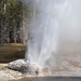 US160925 071 Yellowstone NP, WY