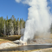 US160925 073 Yellowstone NP, WY