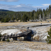 US160925 120 Yellowstone NP, WY