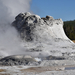 US160925 122 Yellowstone NP, WY