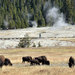 US160926 039 Yellowstone NP, WY